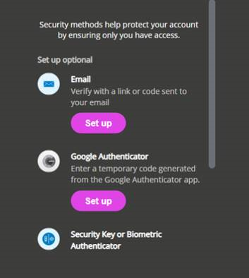 Security options when you copy and paste the code.
