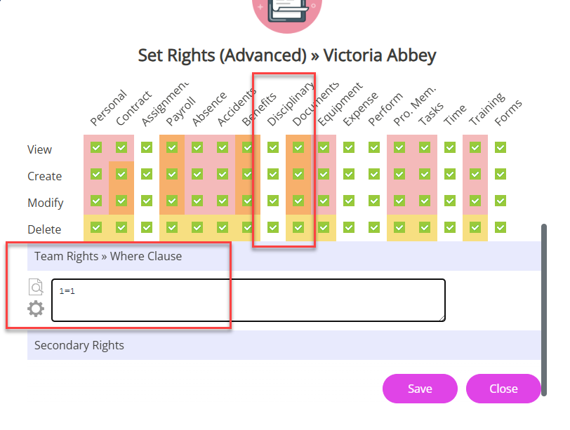 The Team Set Rights of an individual with the Disciplinary checkboxes selected. 