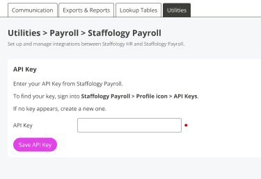 The screen to add an API key. 